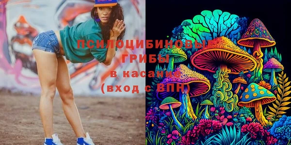 стафф Михайловск