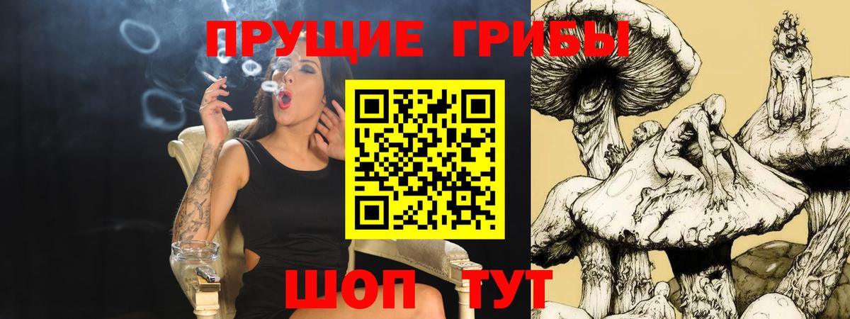 Галлюциногенные грибы Psilocybe  Вход с VPN  Алатырь 