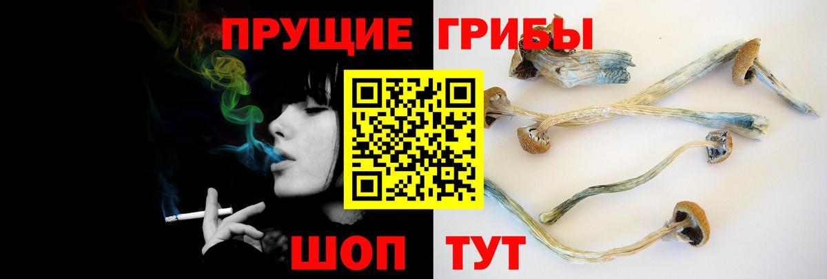 Галлюциногенные грибы мицелий Алатырь